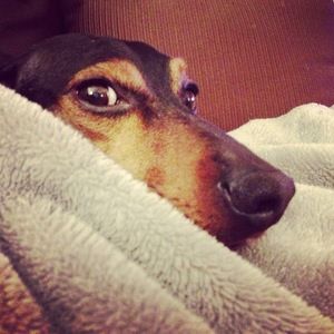 Meet your Posher, Leigh